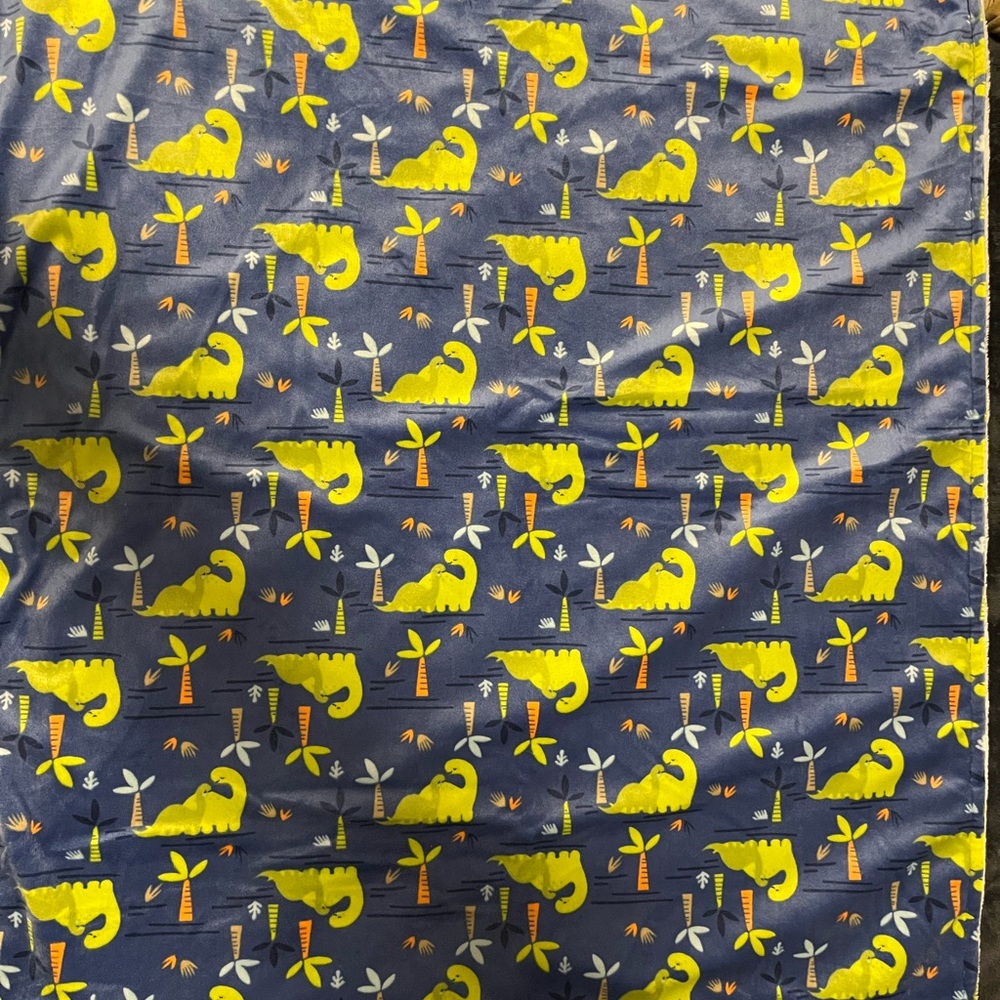 Kids Dinosaur Print Blanket